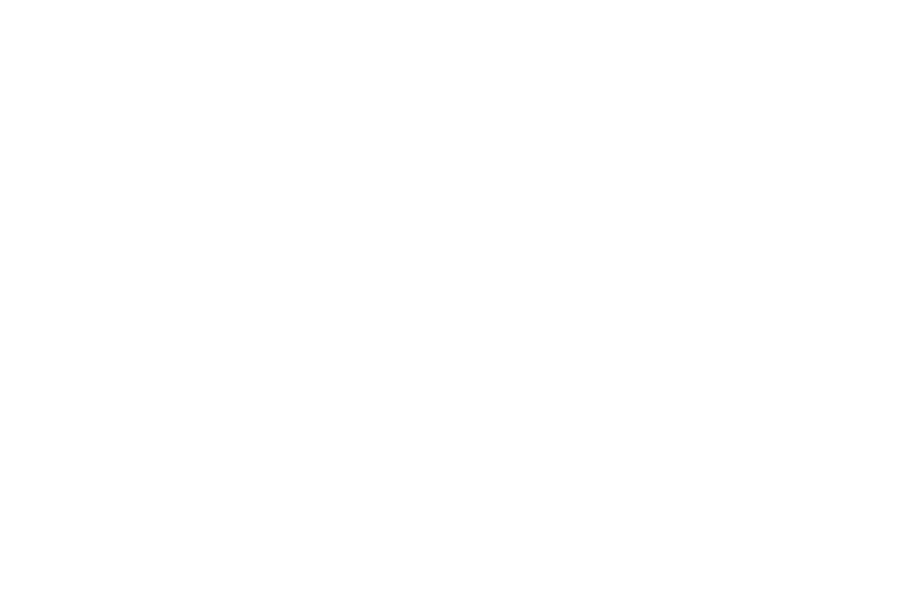 valen-logo-white